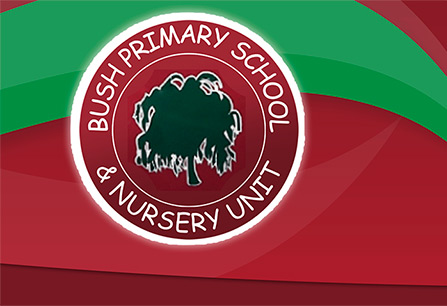 Bush Primary School & Nursery Unit, Dungannon